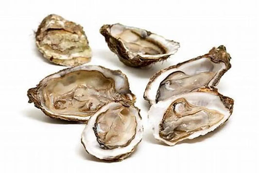 Half Shell Oyster (Frozen)