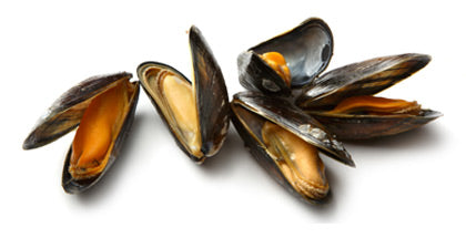 Half Shell Mussels (Frozen)