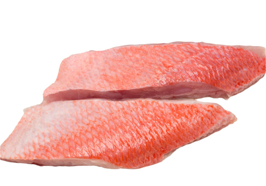 Red Snapper Fillet