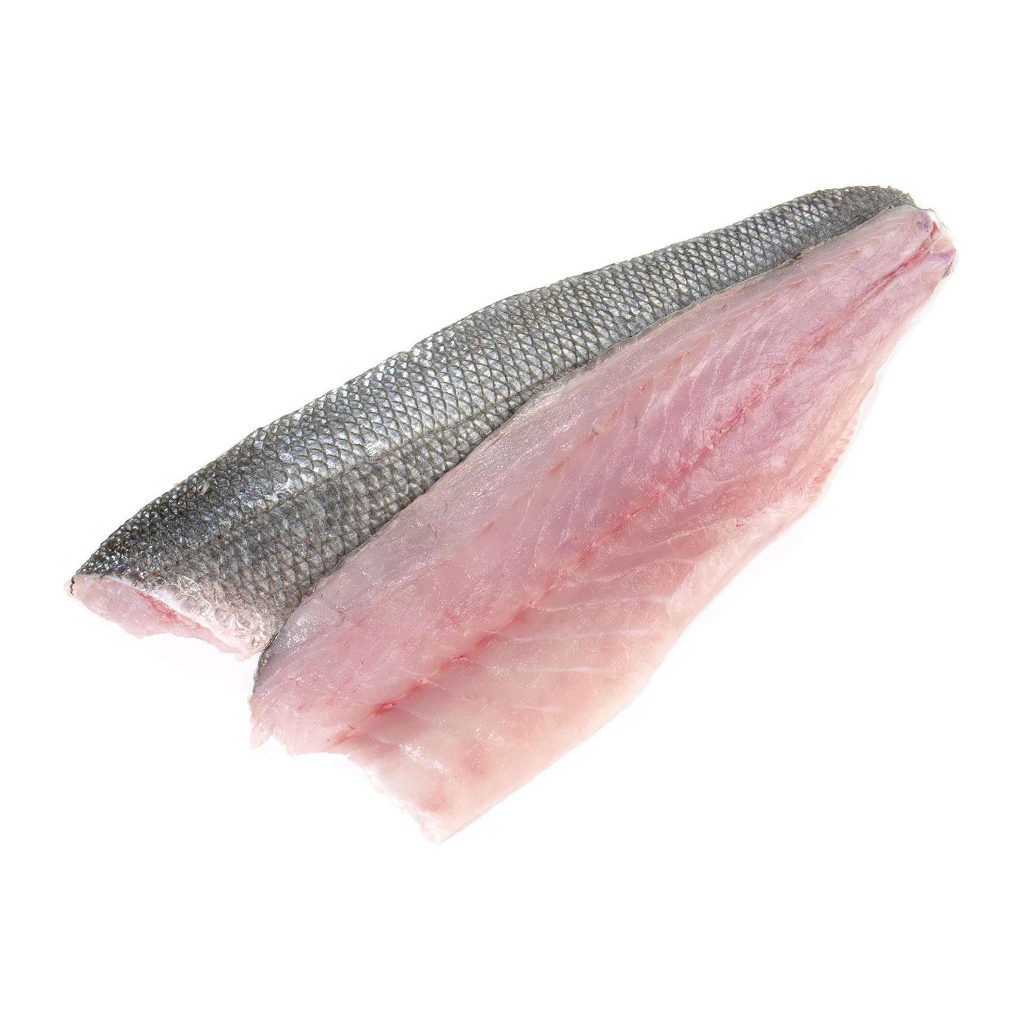 Sea Bass Fillet (Fresh)